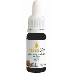 CBD oil 6%, registered veterinary product for dogs